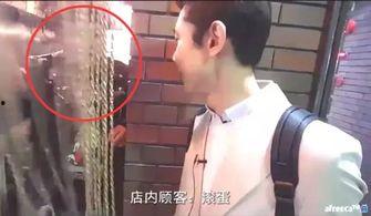 狼友视频日韩,狼友视频带你领略独特魅力